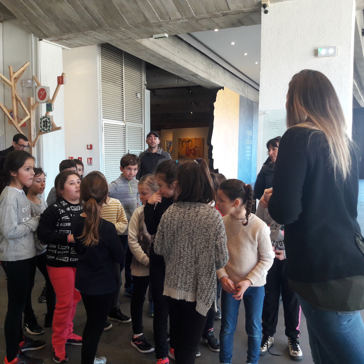 20190219_113353 20190219_113353