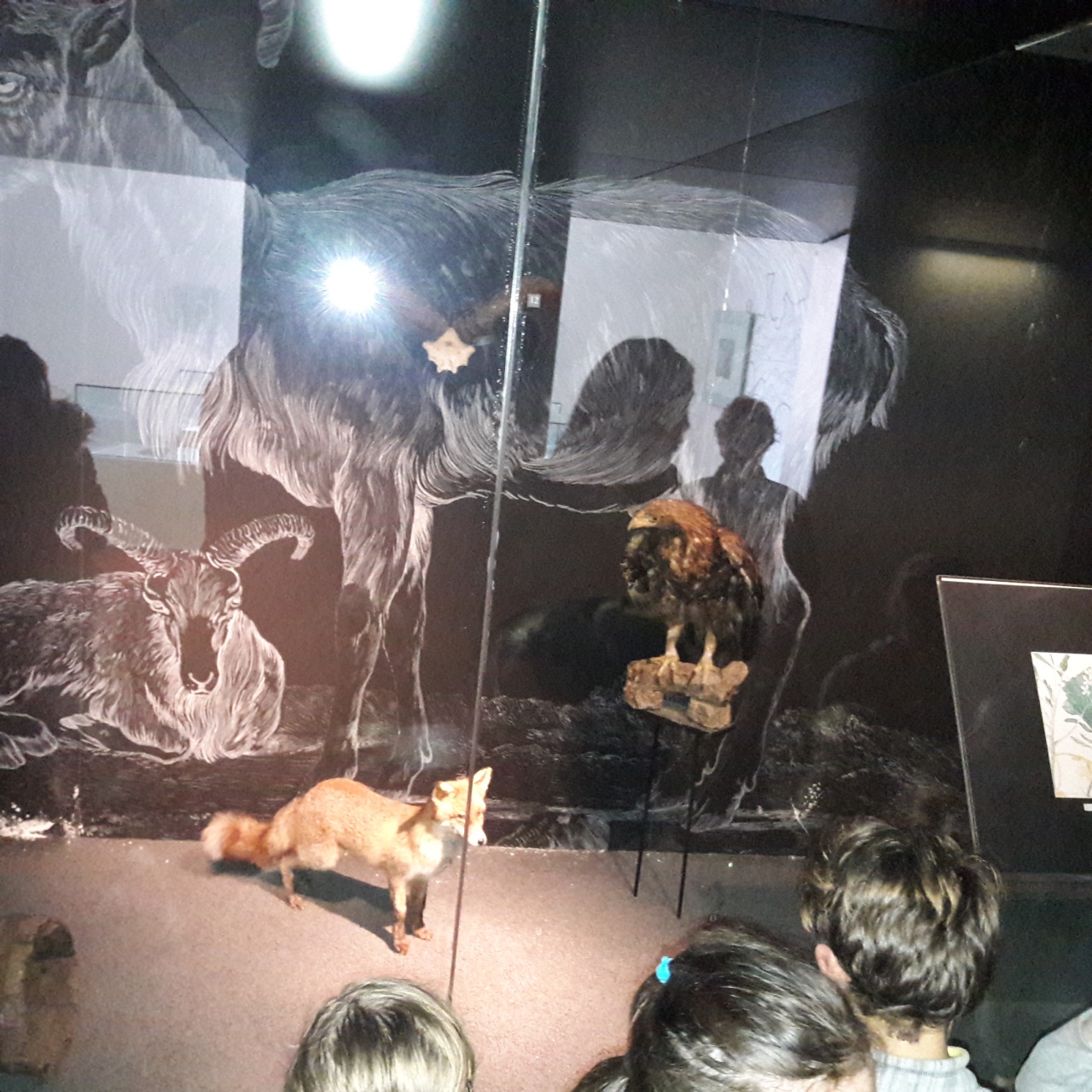 20190219_115009 20190219_115009