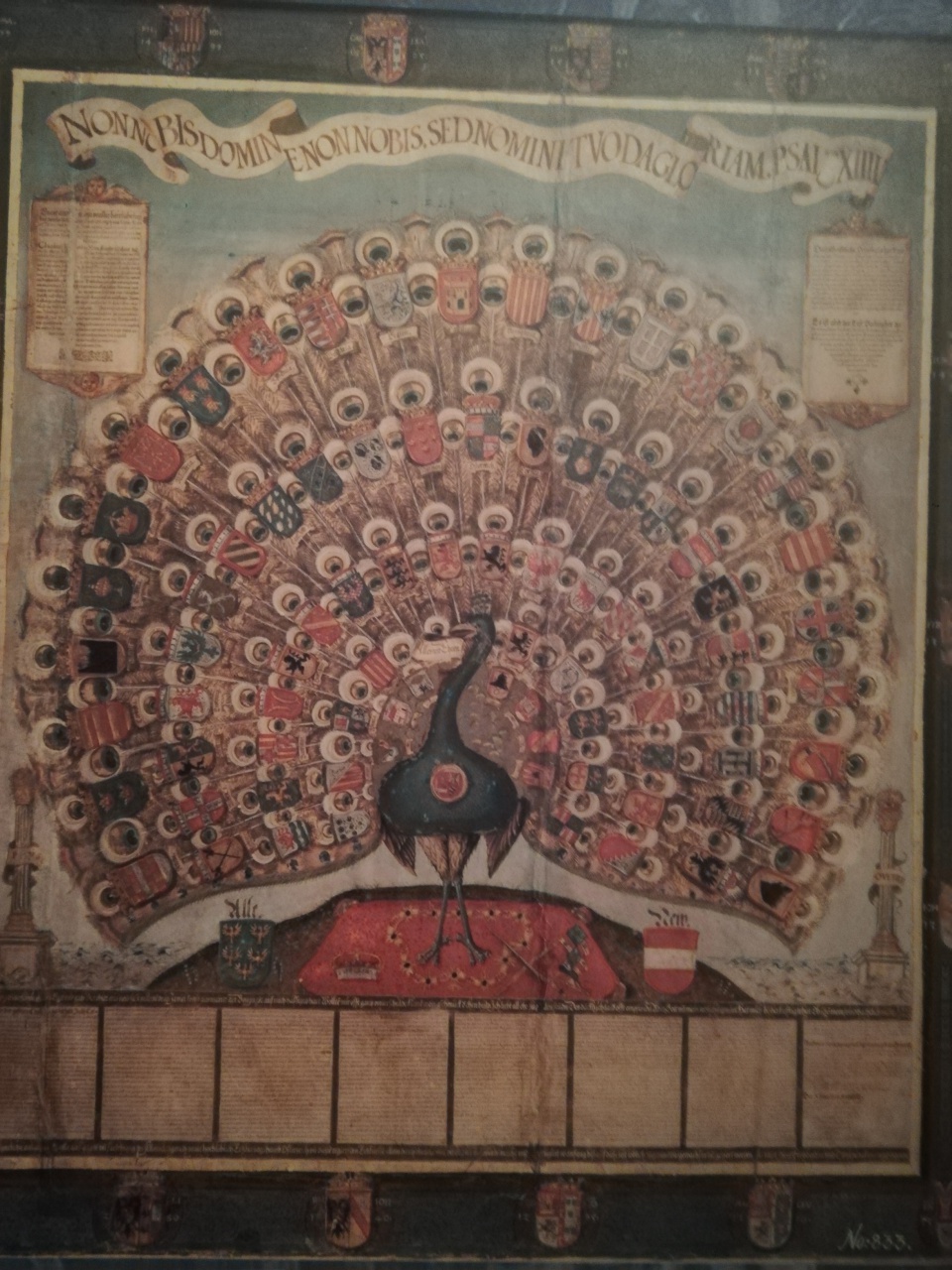 IMG_20190405_111446 IMG_20190405_111446