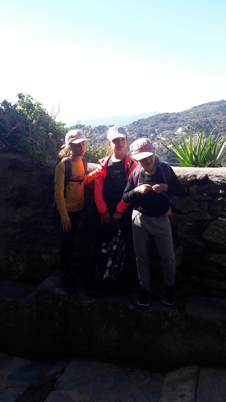 20190409_095928 20190409_095928