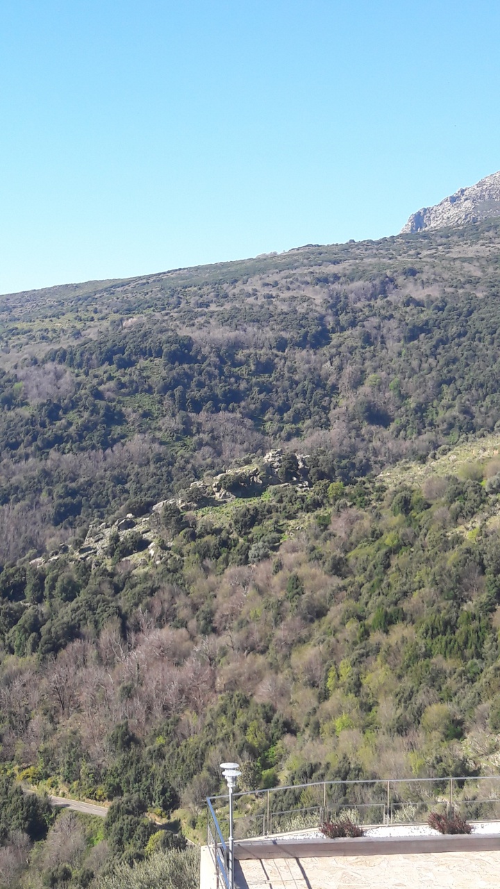 20190409_100352 20190409_100352