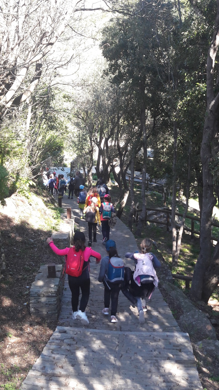 20190409_102546 20190409_102546