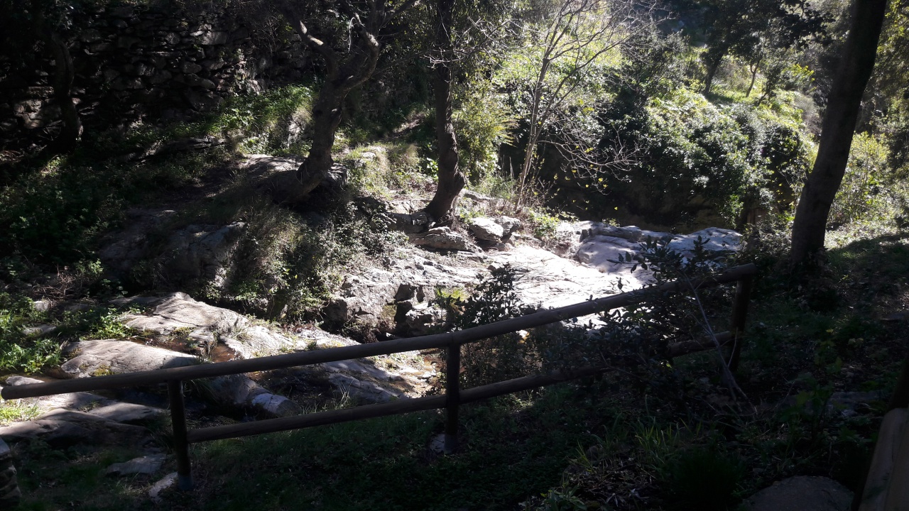 20190409_102803 20190409_102803