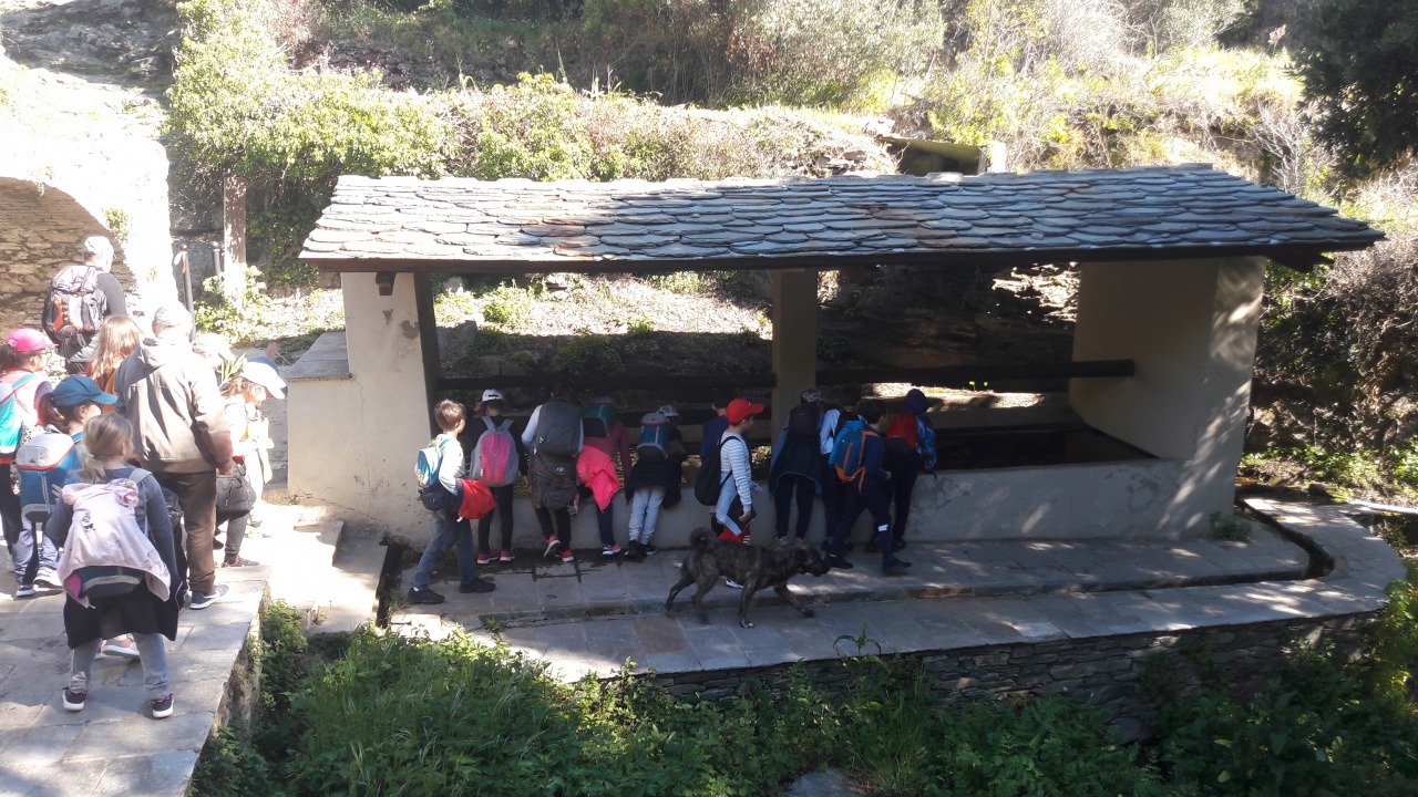 20190409_102921 20190409_102921