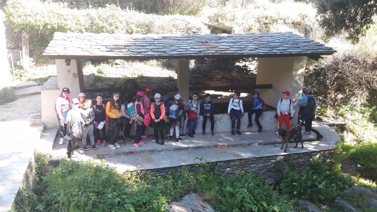 20190409_102935 20190409_102935