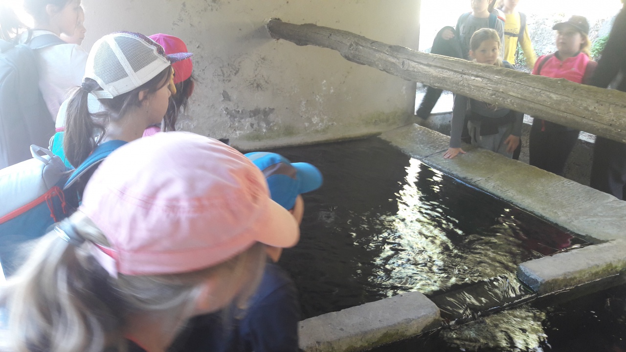 20190409_103007 20190409_103007