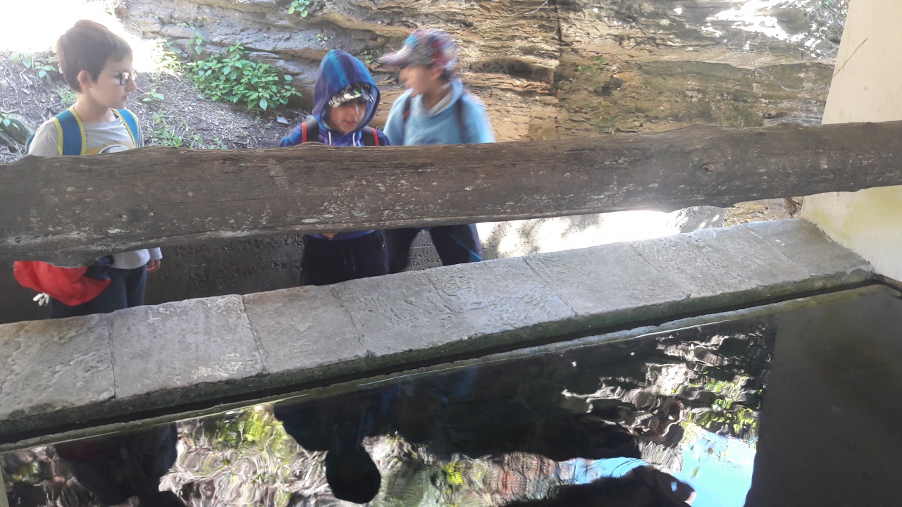 20190409_103009 20190409_103009