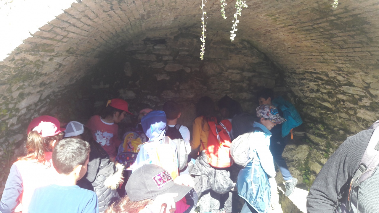 20190409_103035 20190409_103035