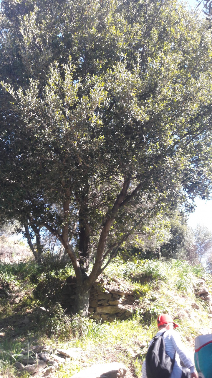 20190409_104035 20190409_104035