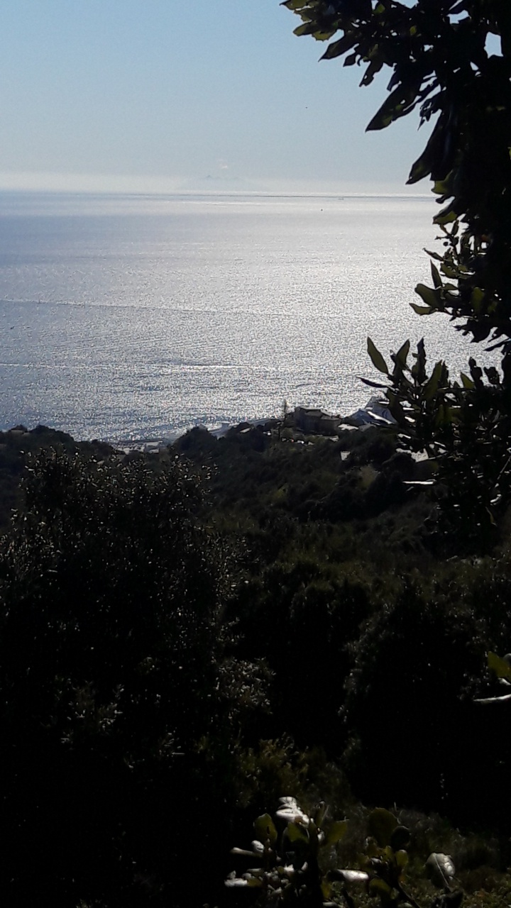 20190409_104240 20190409_104240