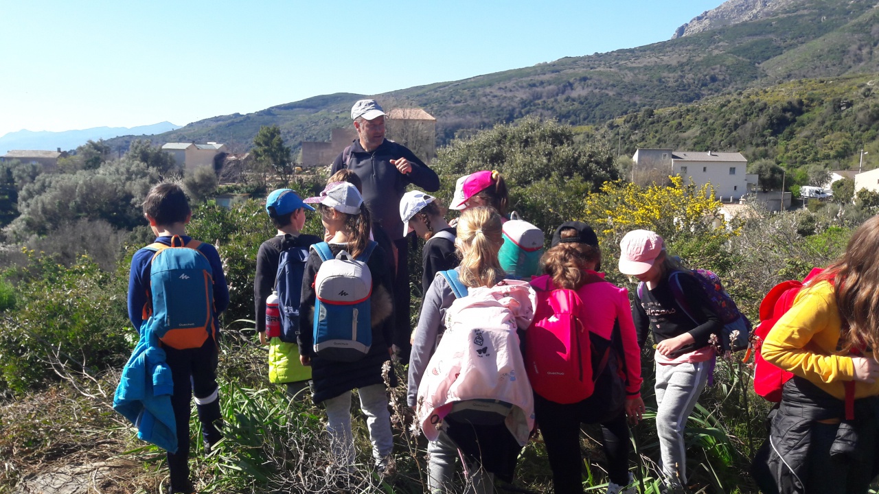 20190409_104431 20190409_104431