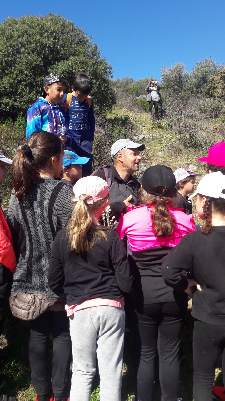 20190409_110952 20190409_110952