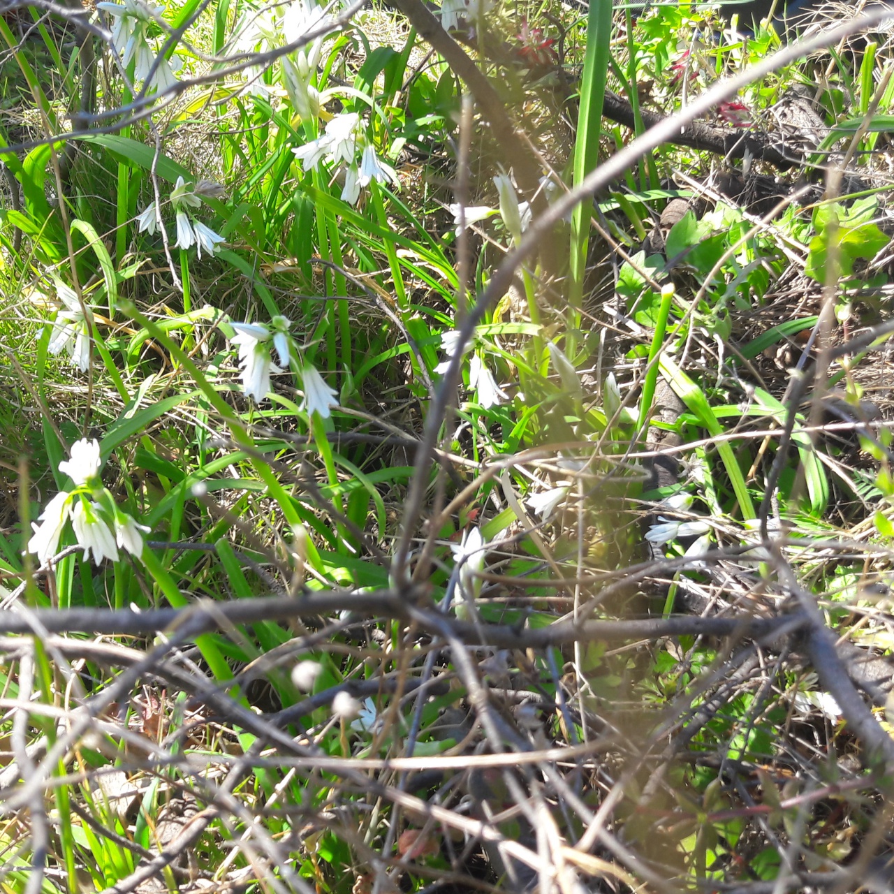 20190409_112208 20190409_112208