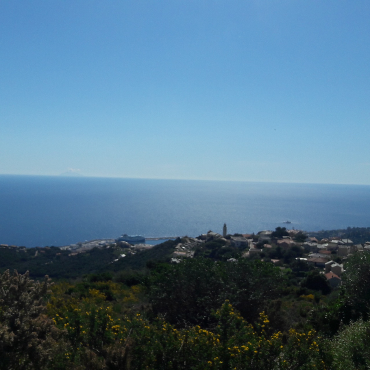 20190409_113816 20190409_113816