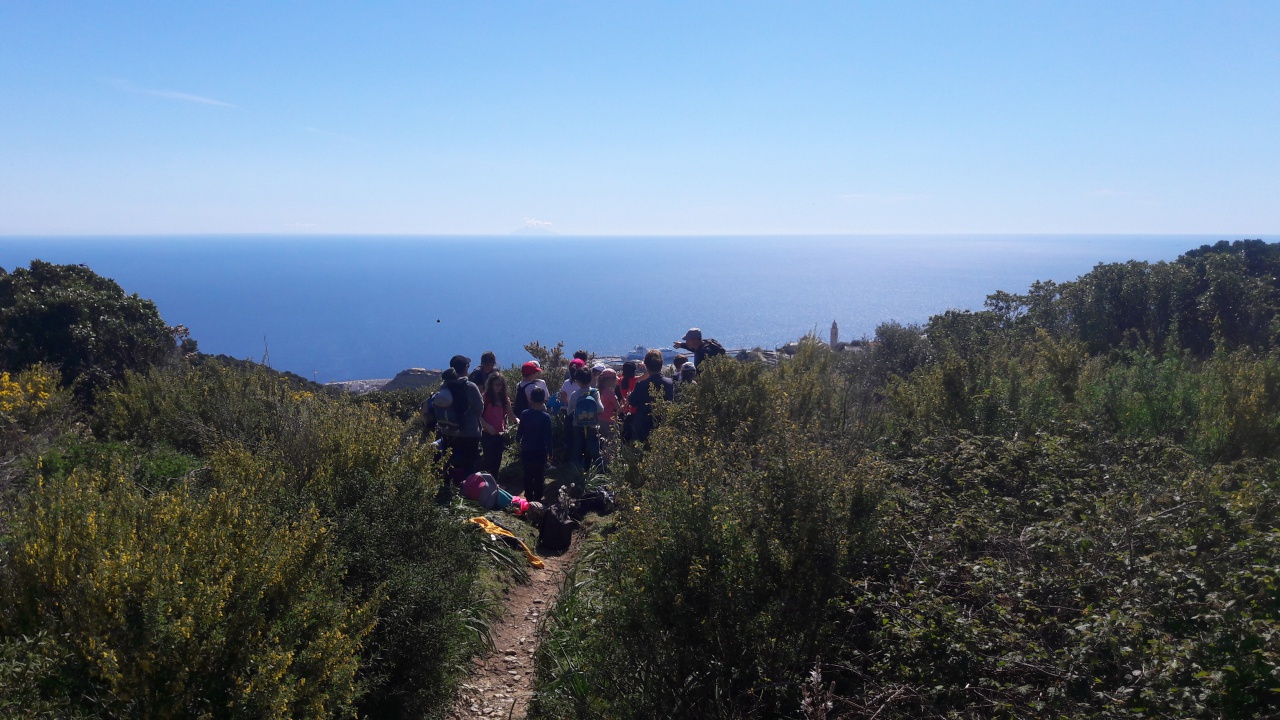 20190409_114711 20190409_114711