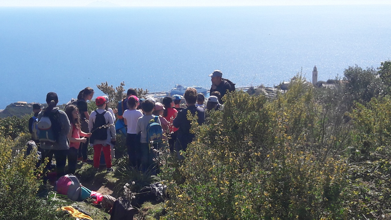 20190409_114732 20190409_114732