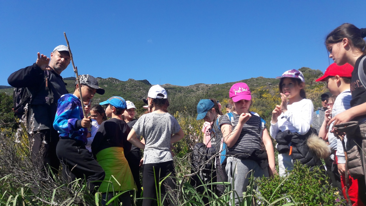 20190409_114922 20190409_114922