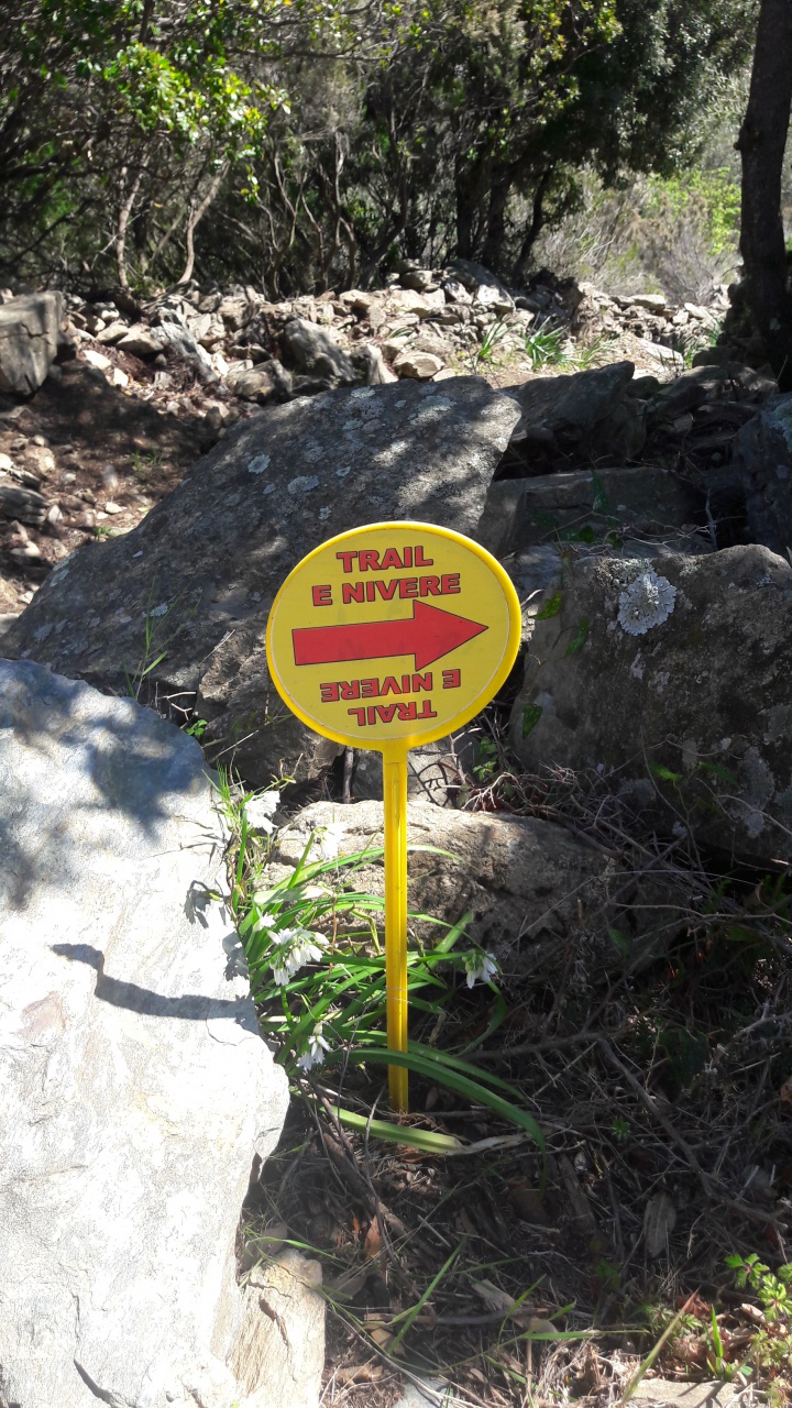 20190409_115423 20190409_115423