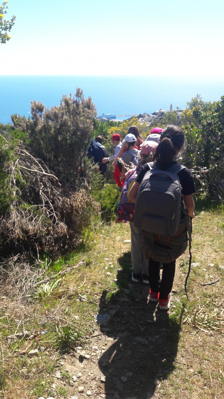 20190409_115431 20190409_115431