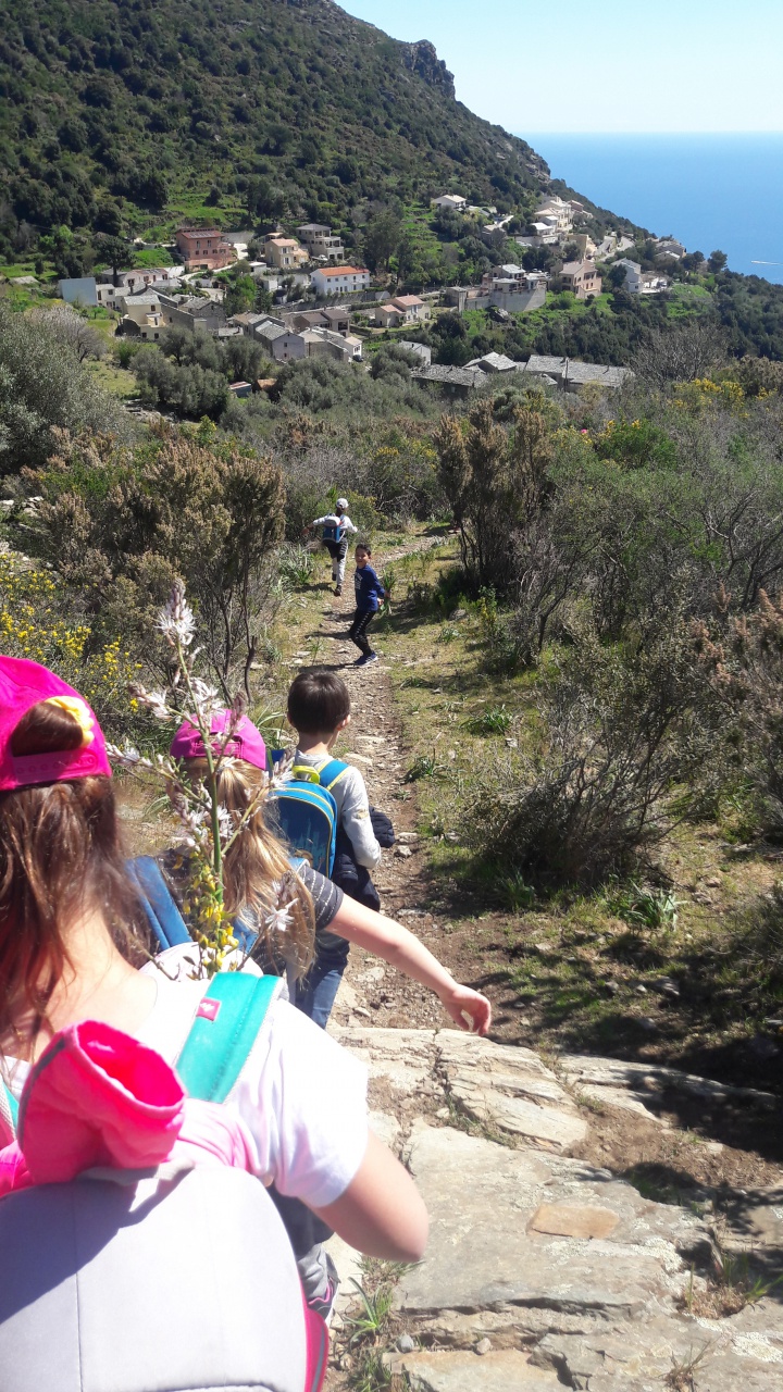 20190409_115545 20190409_115545