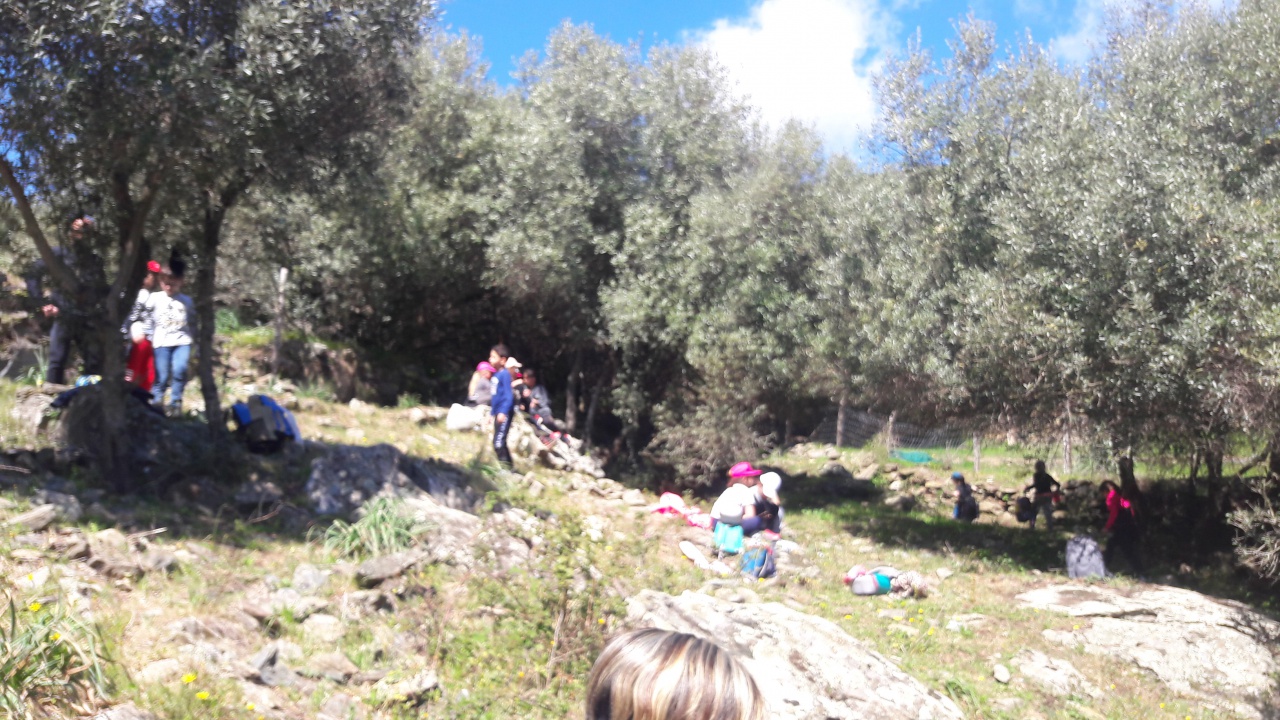 20190409_123909 20190409_123909