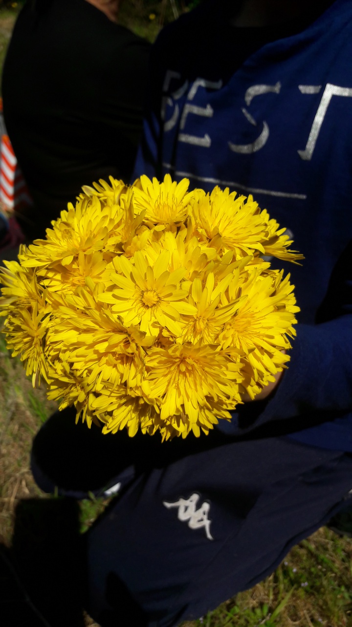 20190409_124408 20190409_124408