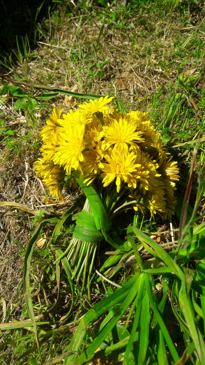 20190409_130603 20190409_130603