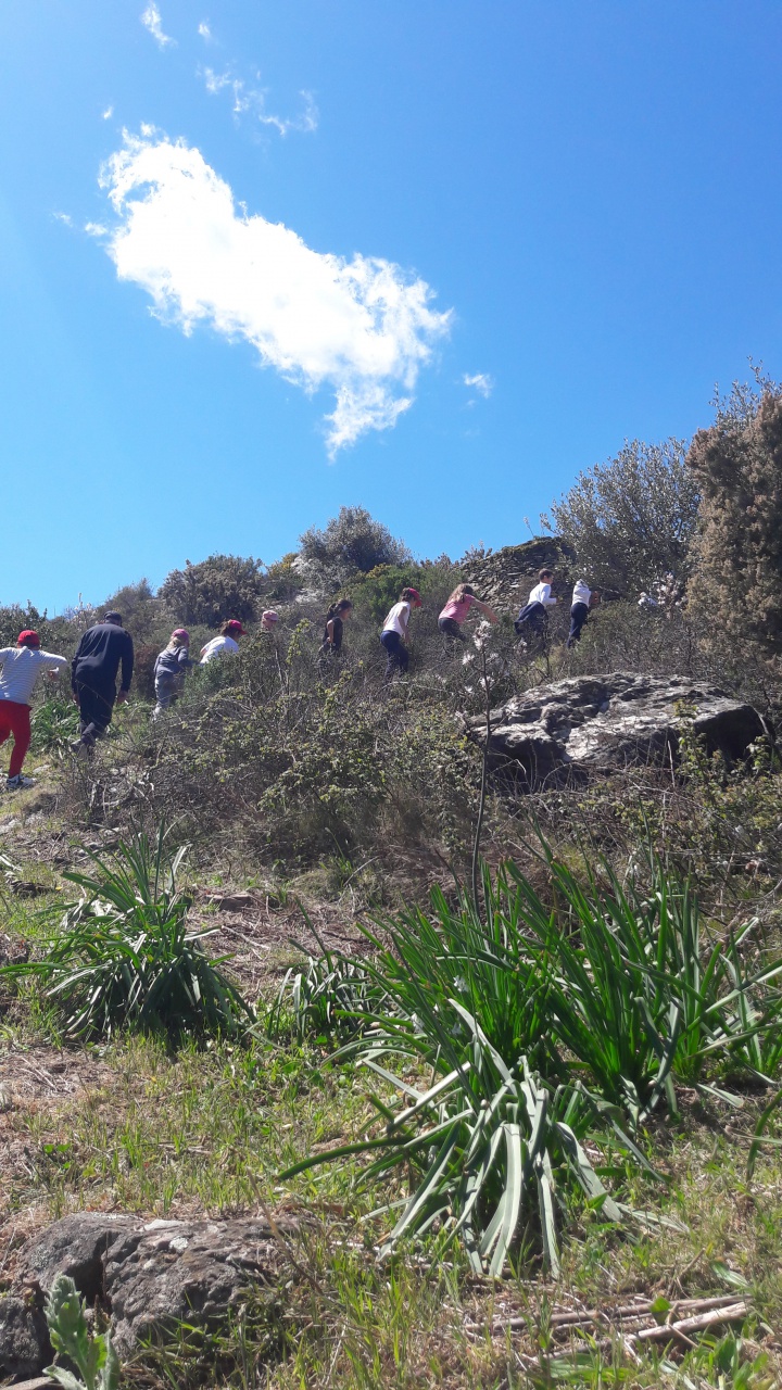 20190409_131759 20190409_131759