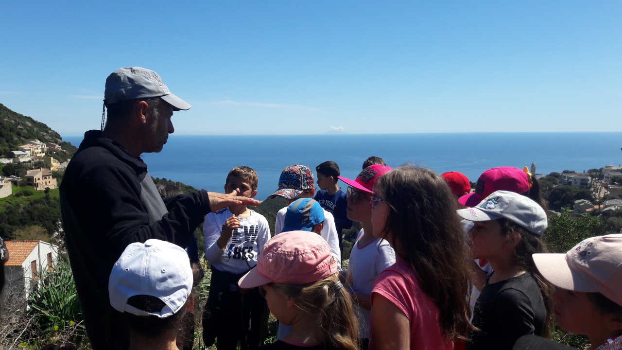 20190409_132457 20190409_132457