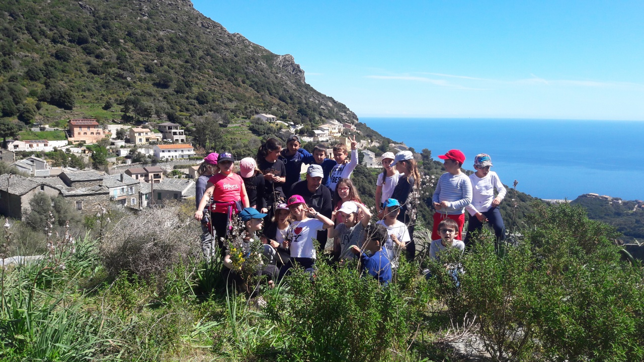 20190409_132845 20190409_132845