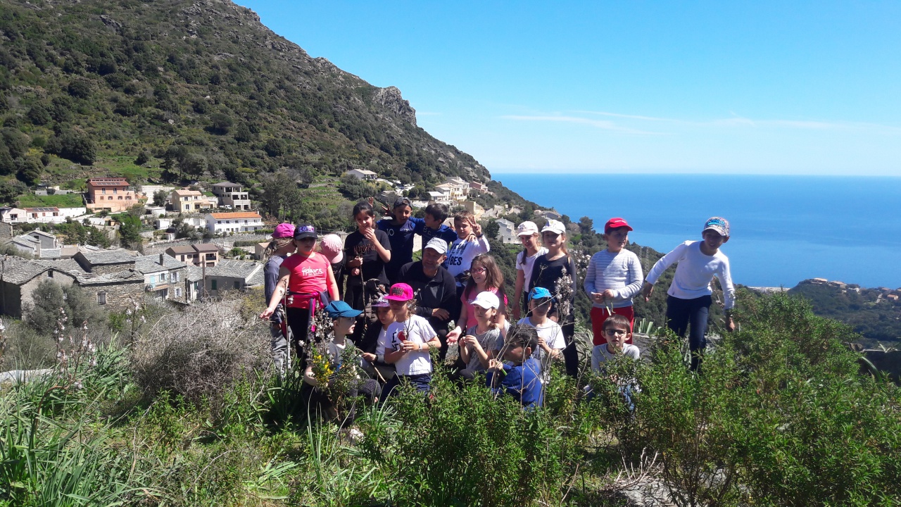 20190409_132847(0) 20190409_132847(0)