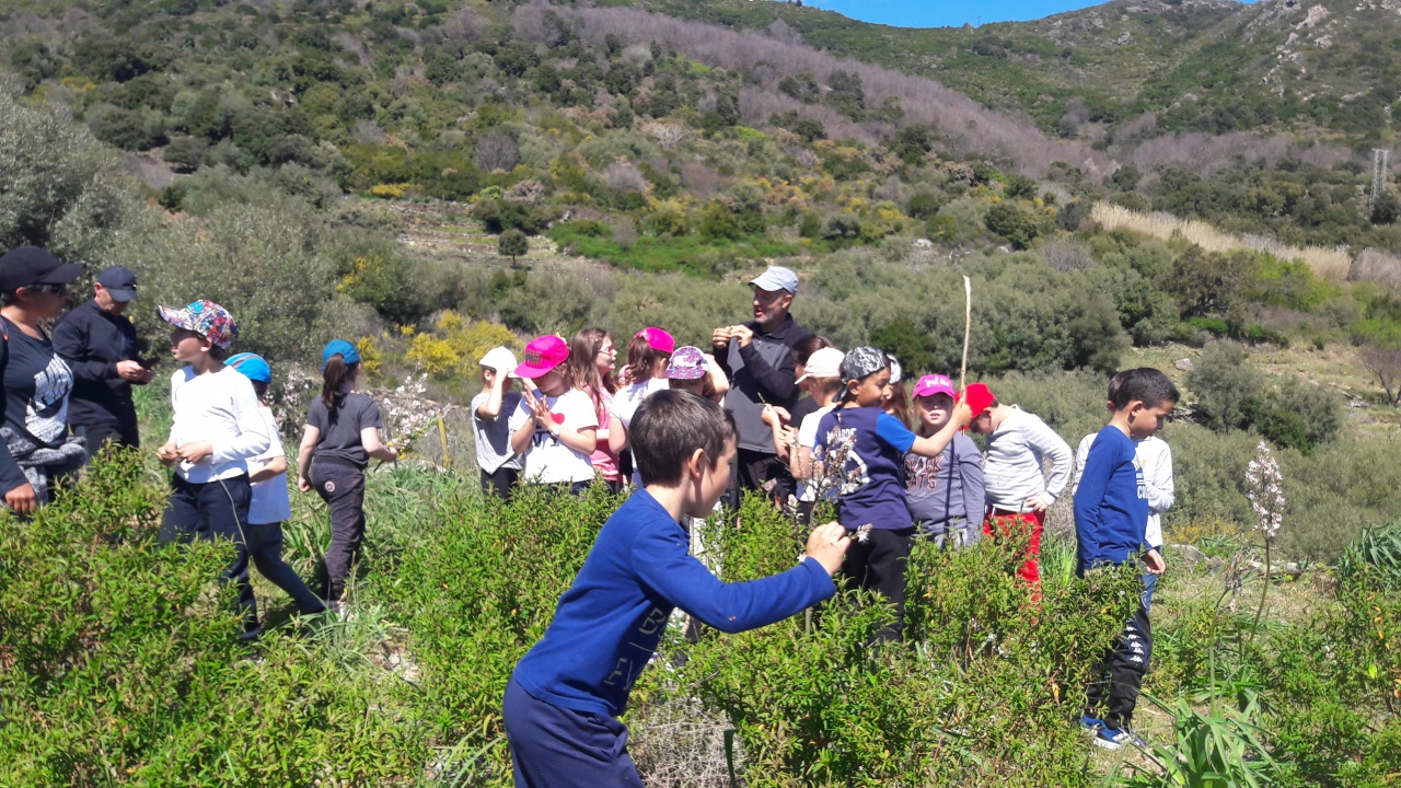 20190409_132949 20190409_132949