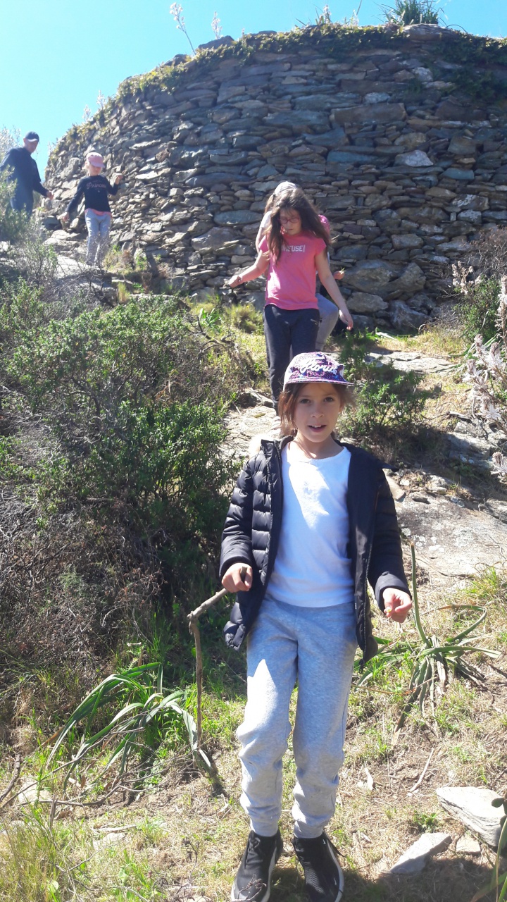 20190409_133350 20190409_133350