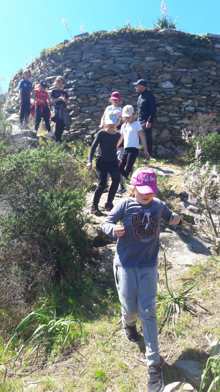 20190409_133359 20190409_133359