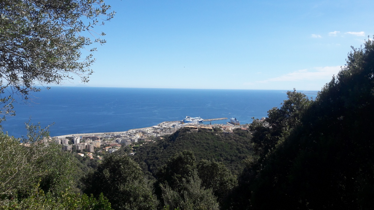 20190409_144727 20190409_144727