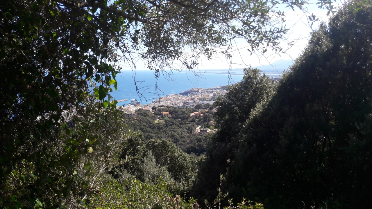 20190409_144734 20190409_144734