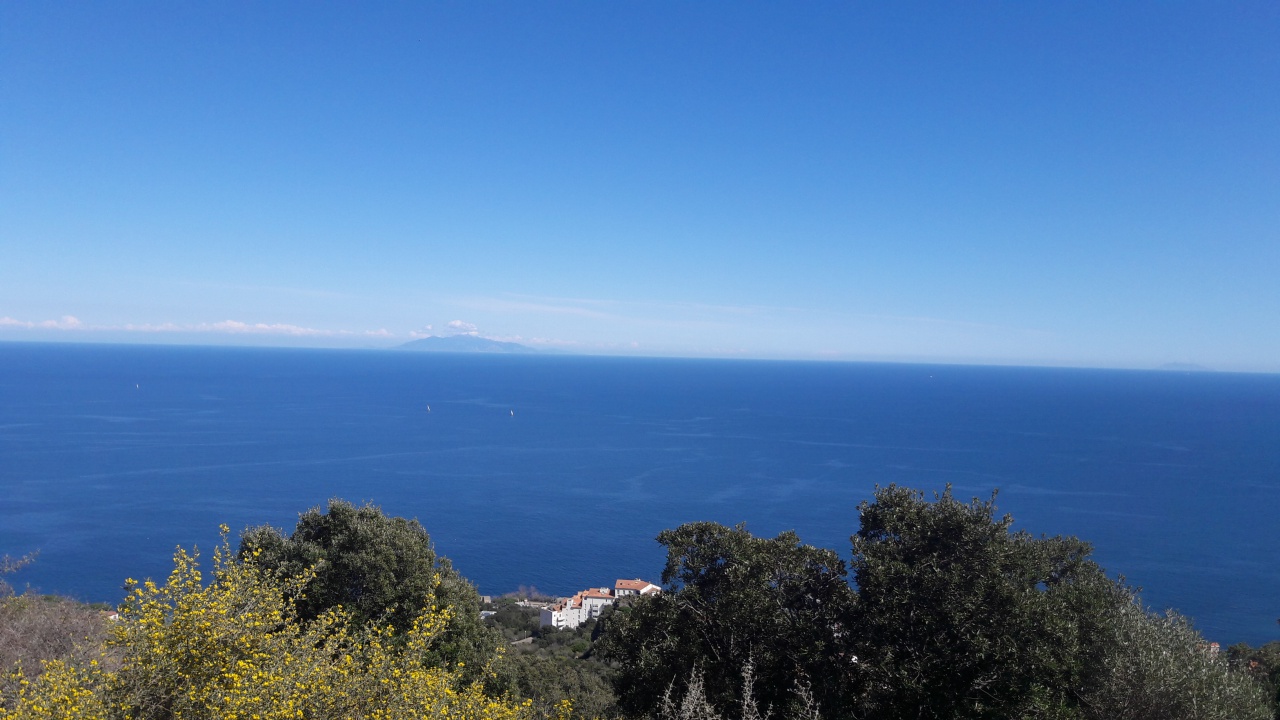 20190409_145836 20190409_145836