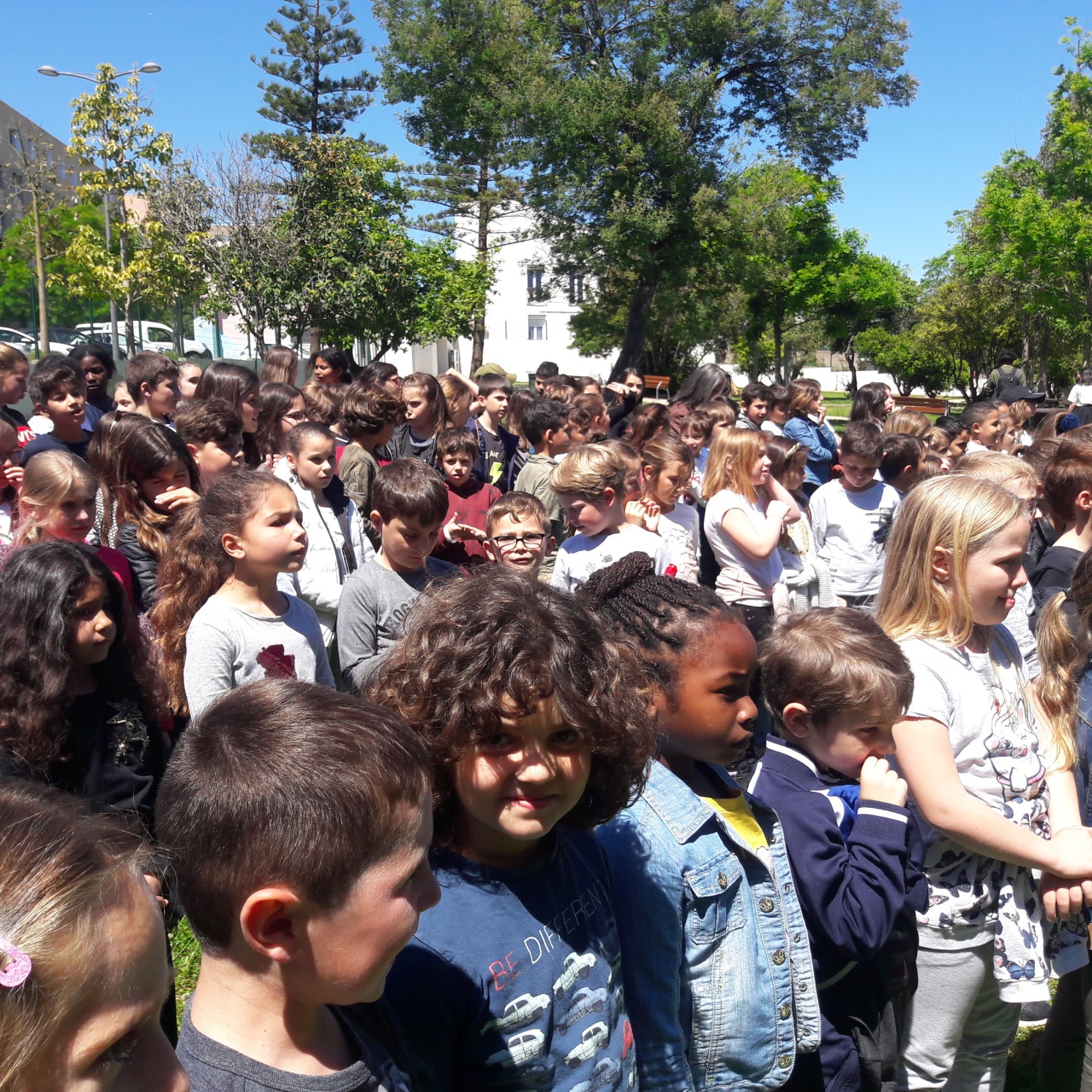 20190516_141115 20190516_141115