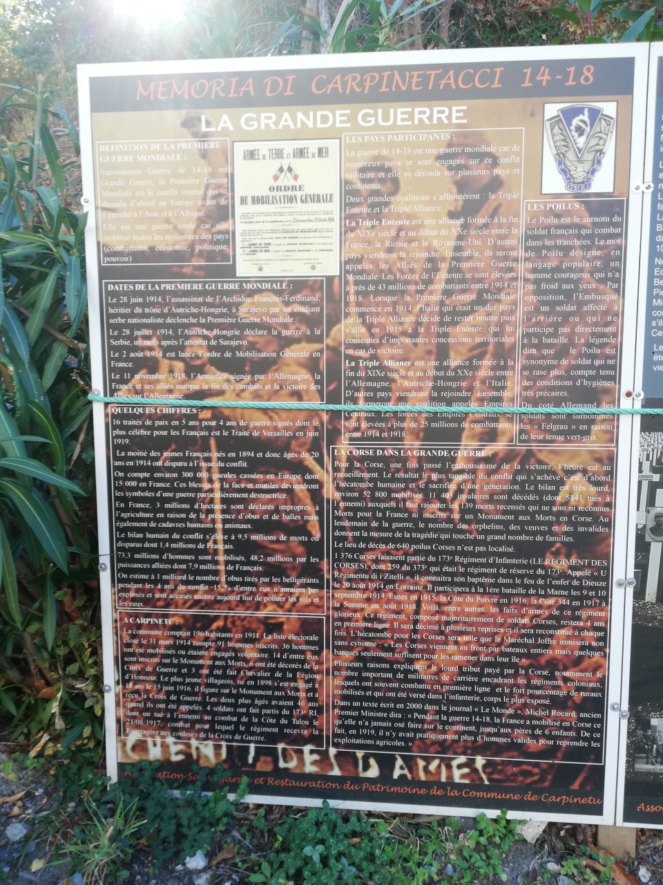 IMG_20201106_130742 IMG_20201106_130742