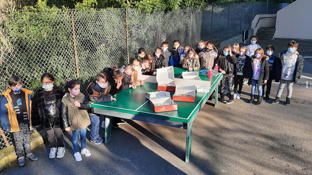 20210112_100434 20210112_100434