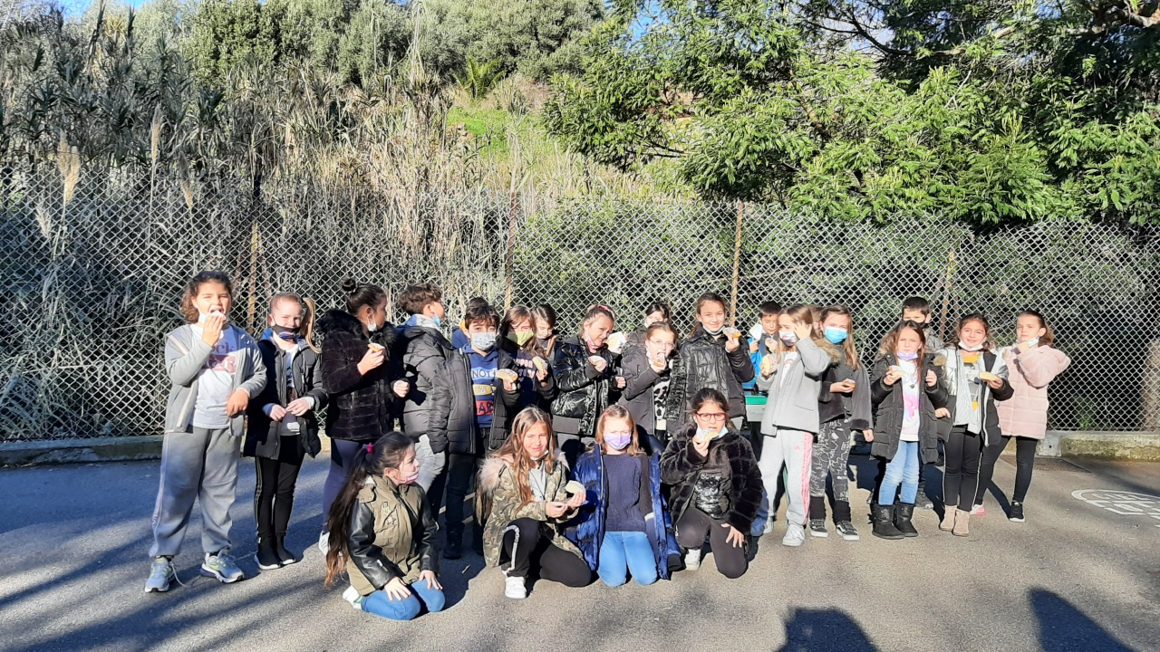 20210112_100639 20210112_100639