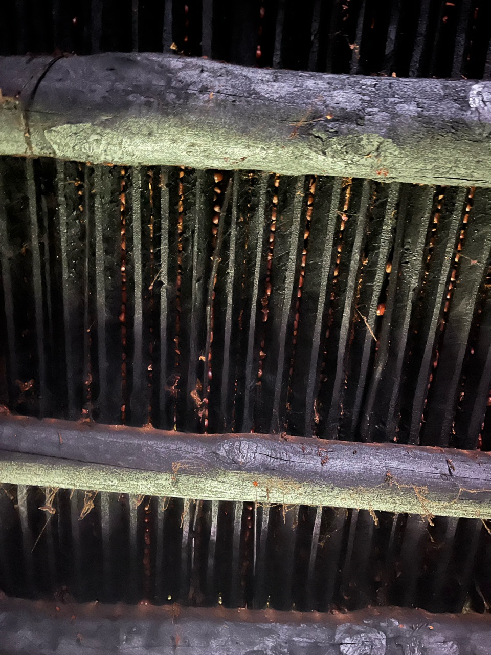 cm1.cm2 castagniccia. 4 cm1.cm2 castagniccia. 4