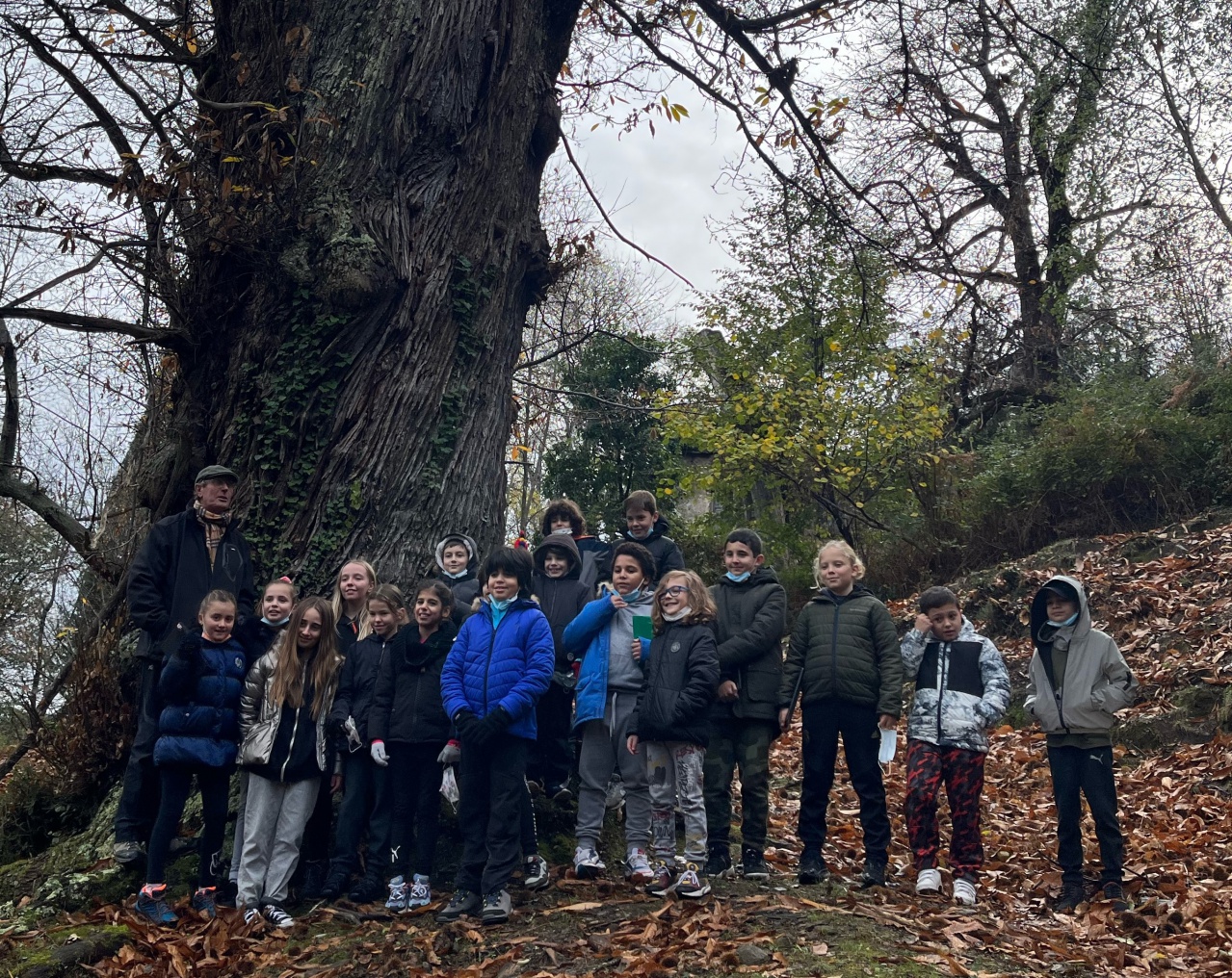 cm1.cm2 castagniccia cm1.cm2 castagniccia