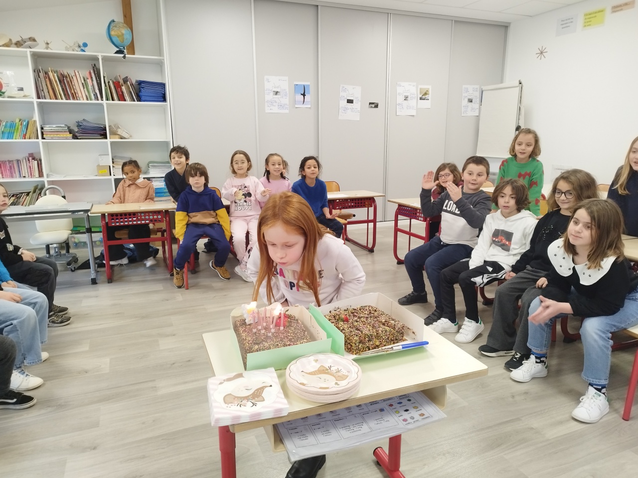 IMG_20230126_144901 IMG_20230126_144901