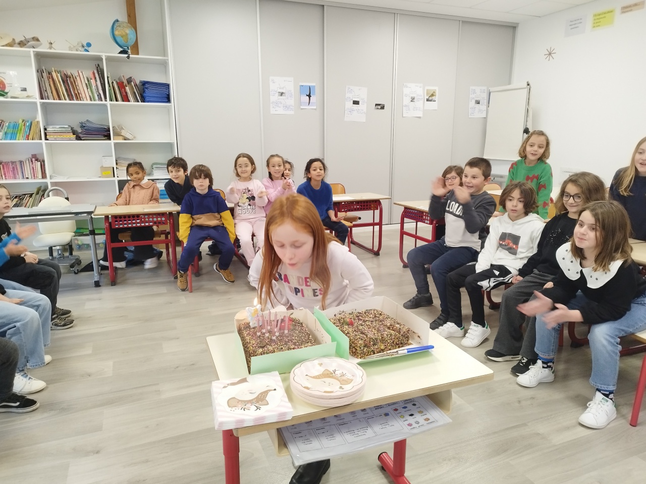 IMG_20230126_144902 IMG_20230126_144902