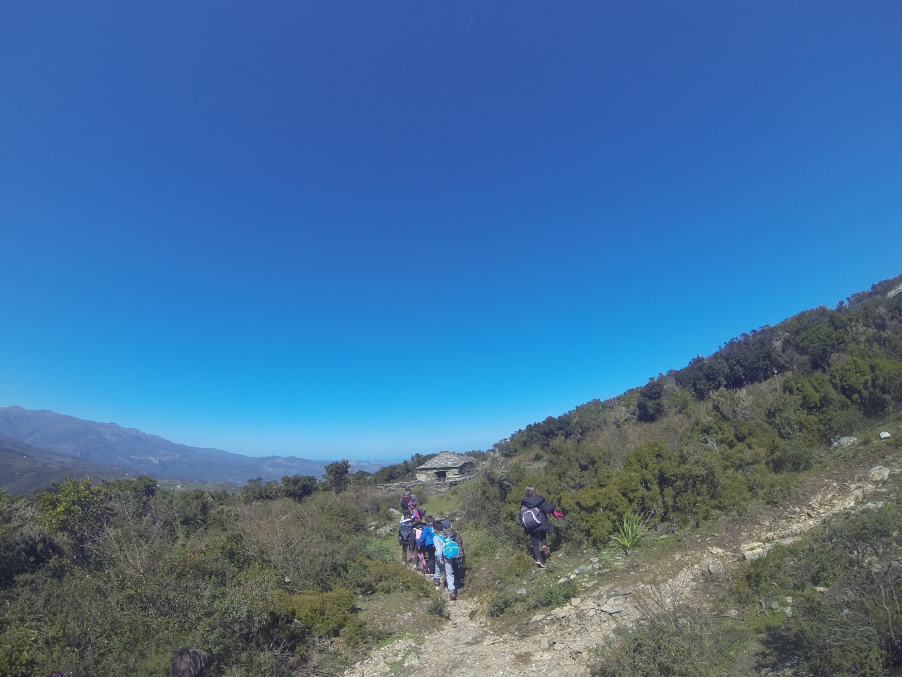 andemu in u pagliaghju di a martinella andemu in u pagliaghju di a martinella