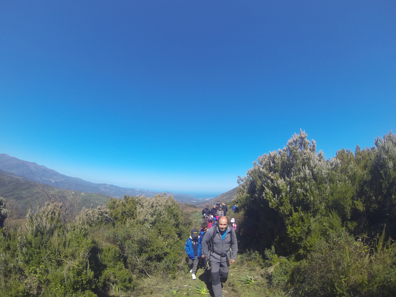 Daretu si vere u golfu di San Fiurenzu. Daretu si vere u golfu di San Fiurenzu.