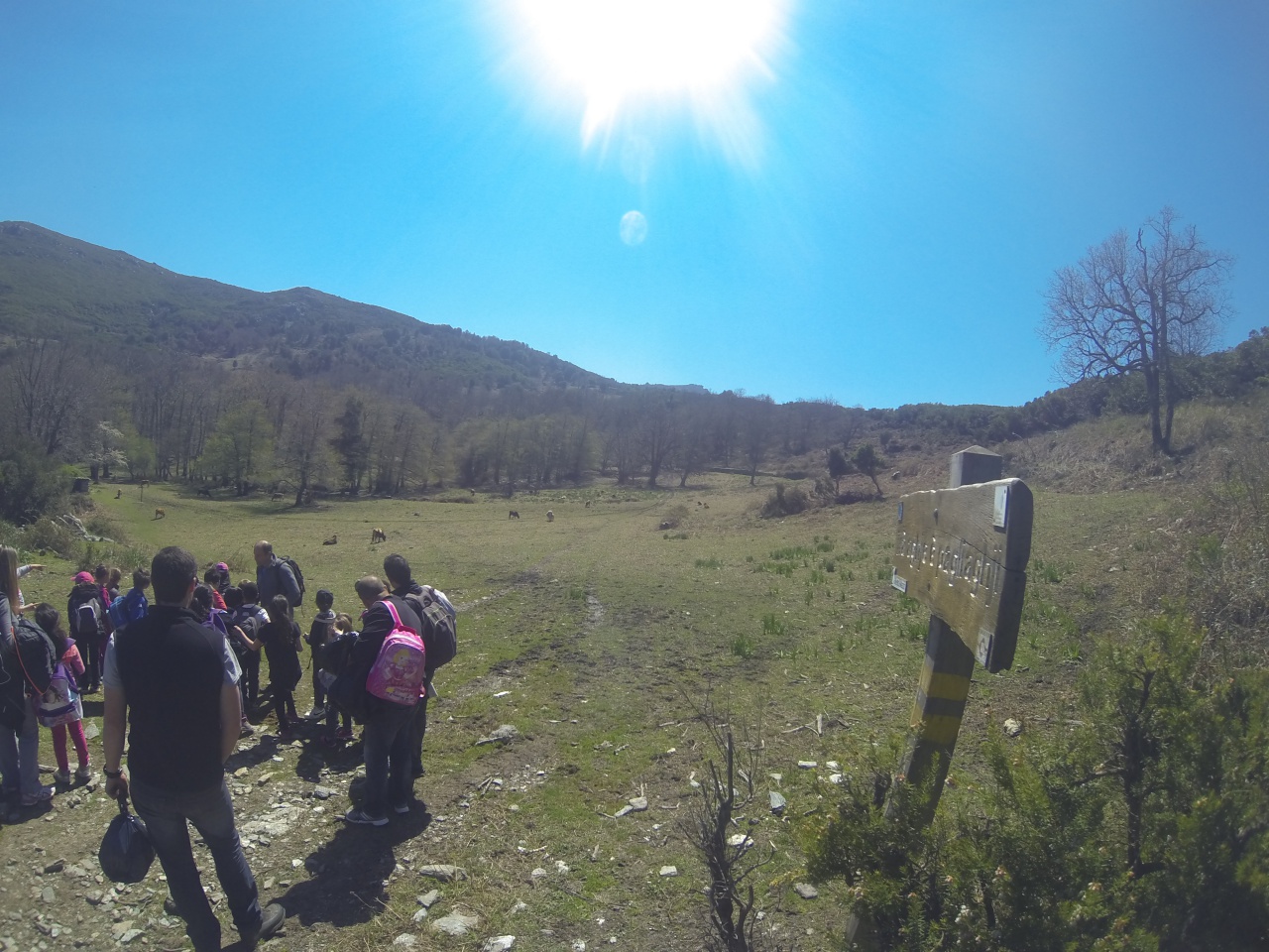 falemu per a petra tonda falemu per a petra tonda