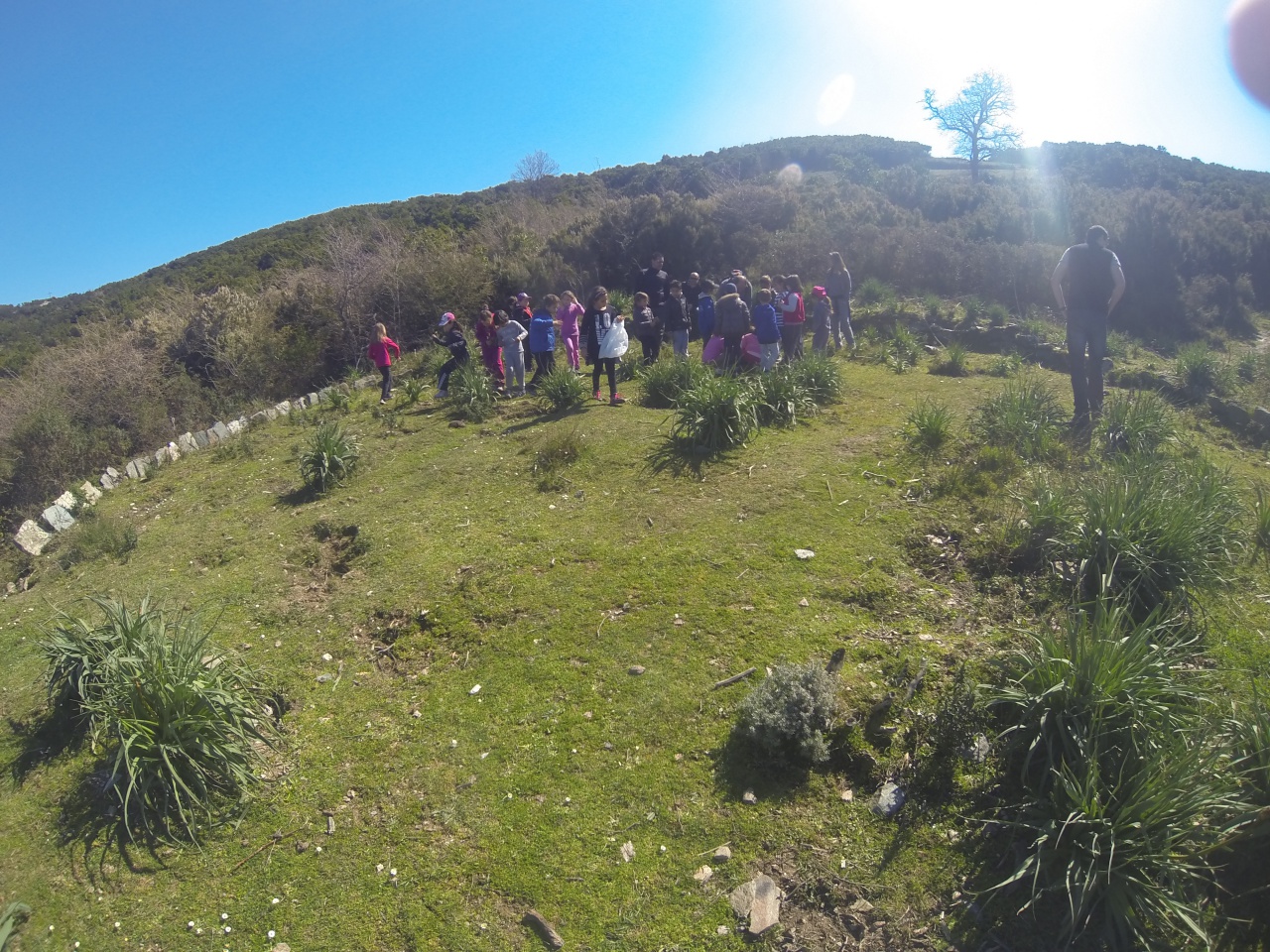 si cerca u tribbiu ind'è l'aghja si cerca u tribbiu ind'è l'aghja