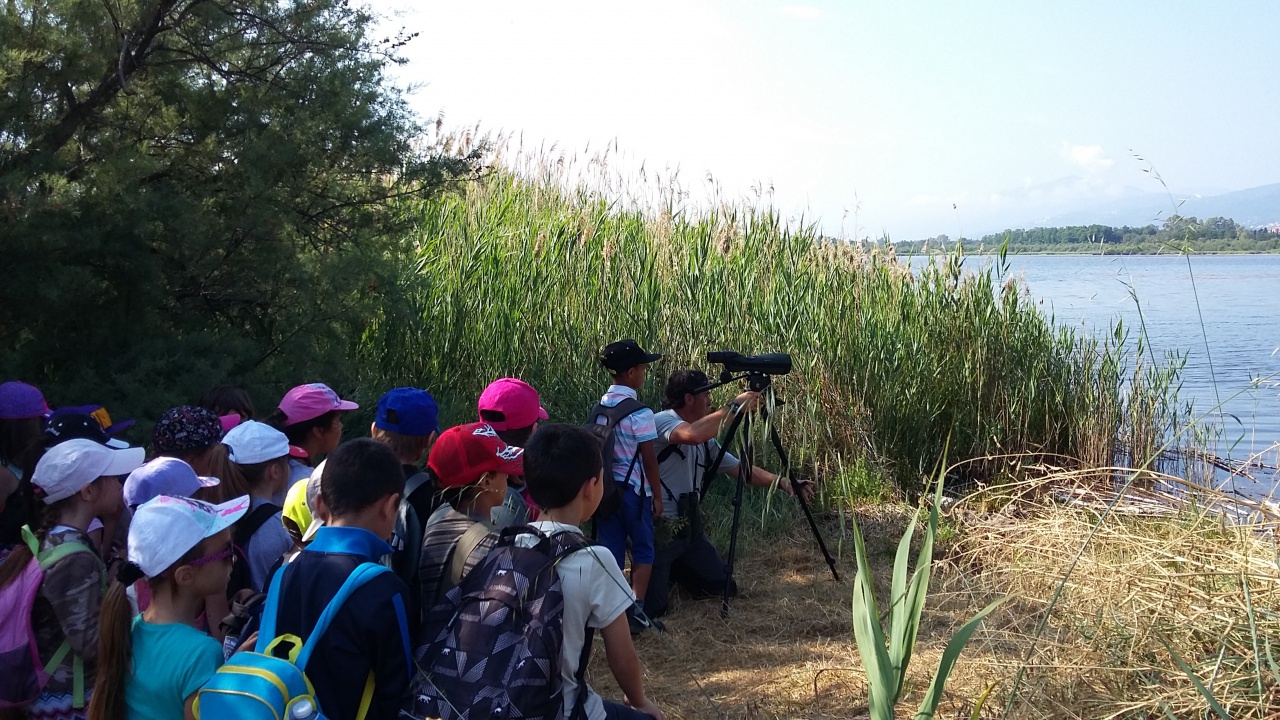 20150602_093641 20150602_093641